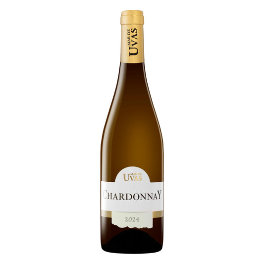 Vino Blanco Chardonnay Mar de Uvas